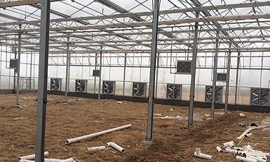大棚风机91香蕉视频APP污